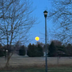 Chorizo (feat. Big Snakob)