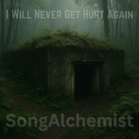 I Will Never Get Hurt Again