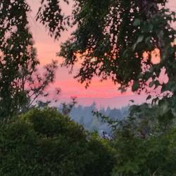 Everything I Wish I Could Say