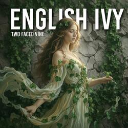 ENGLISH IVY TWO FACED VINE
