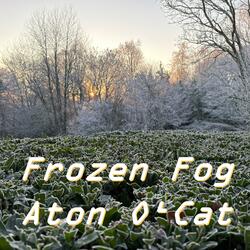Frozen Fog