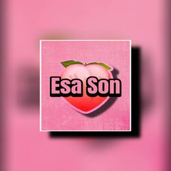 ESA SON