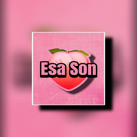 ESA SON