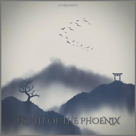 Flight of the Phoenix