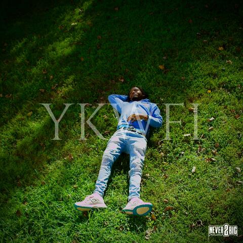 Y.K.W.F.I : YOU KNOW WHAT FUCK IT