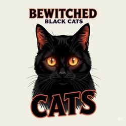 Bewitched Black Cats