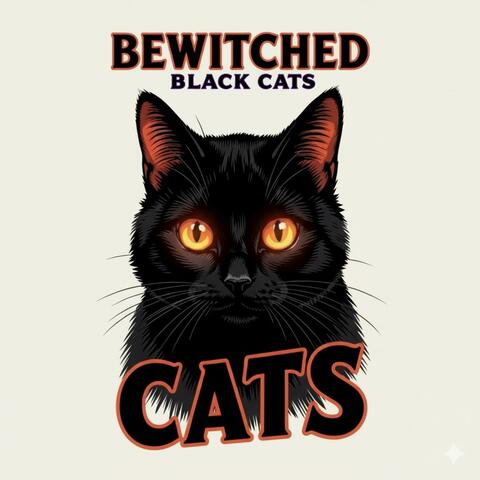Bewitched Black Cats