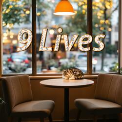 9 Lives