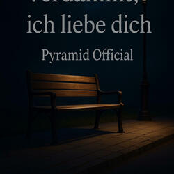 Verdammt, ich Liebe Dich (Radio Edit)