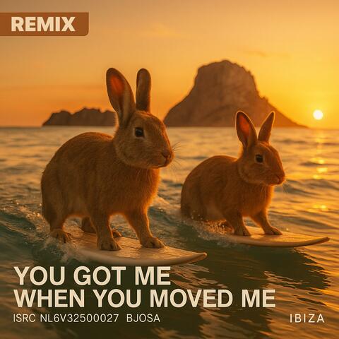 YOU GOT ME WHEN YOU MOVED ME (Remix)