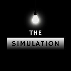 The Simulation