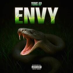 ENVY