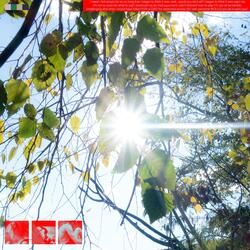 Wind Still Catches Me