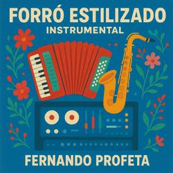 Forró Estilizado Nº 2