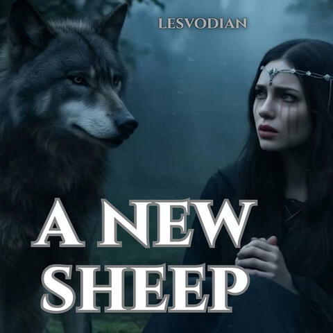 A New Sheep