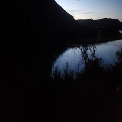 Eyes of Emerald Green