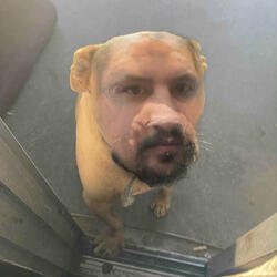 MSG to CAT (feat. C the Rapper)