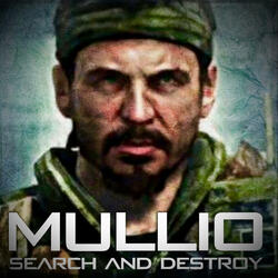 Search and destroy