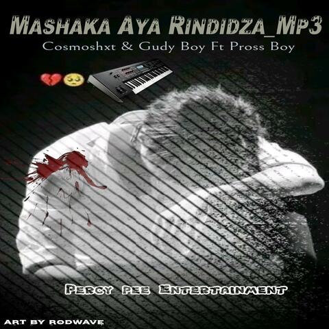 Mashaka Aya Rindidza (feat. Cosmoshxt X Pross Boy &Gudy Boy)