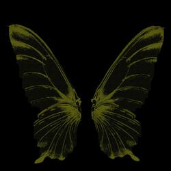 Rift (feat. Unknown)