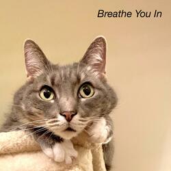 Breathe You In (Instrumental)