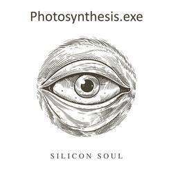 Echoes in Motion