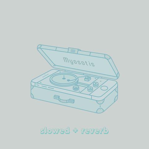 Myosotis (slowed + reverb)