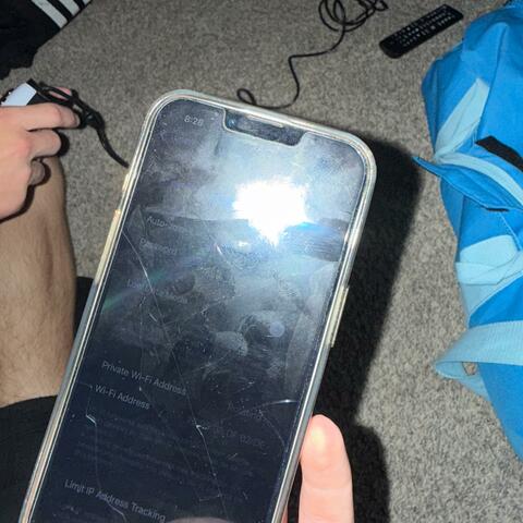 baby let's just fuck the world