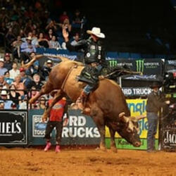 Bull Rider