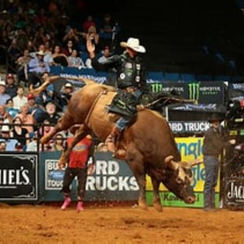 Bull Rider