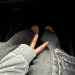 스타일 페이지 (Style Page)