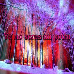 Ya No Seras Mi Potro