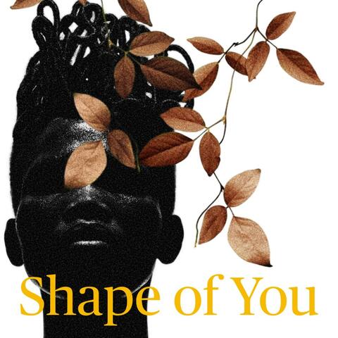 Shape of You