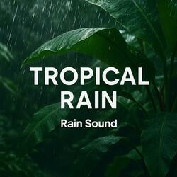 Tropical Rain