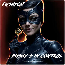 PUSHY´S IN CONTROL (feat. PUSHYCAT)