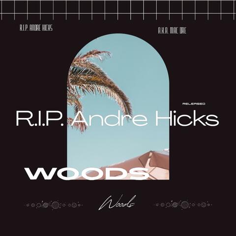 R.I.P. Andre Hicks