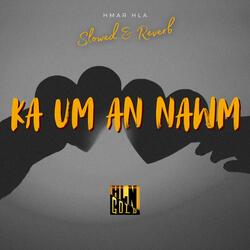 Ka Um An Nawm (Slowed & Reverb)