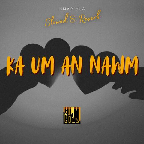 Ka Um An Nawm (Slowed & Reverb)