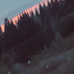 i made this song in 2020, everything has changed but nothing has changed. you were right