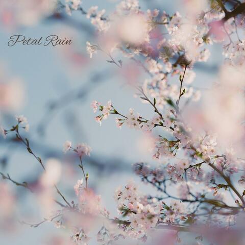 petal rain