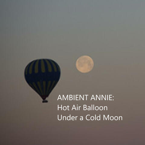 Hot Air Balloon Under a Cold Moon
