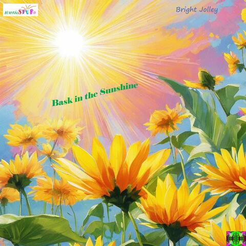 Bask in the Sunshine