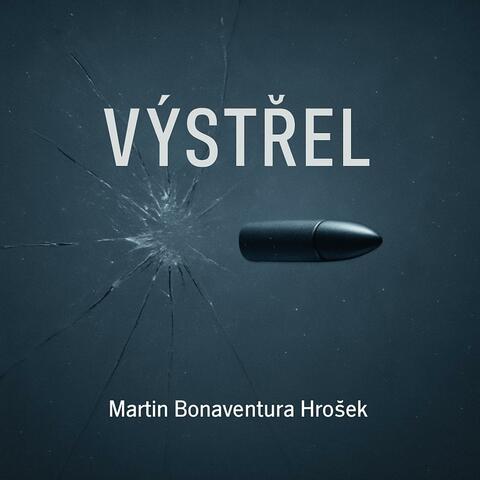 Výstřel