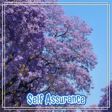Self Assurance