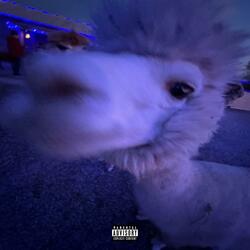 One Minute Freestyle