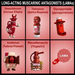 Long-Acting Muscarinic Antagonists (Chipmunk Soul Version)