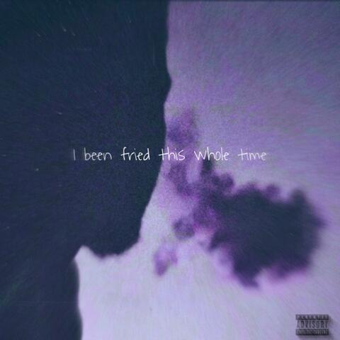 I Been Fried This Whole Time