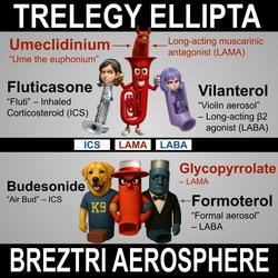 Trelegy vs Breztri (Prog Disco Version)
