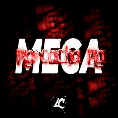 MEGA PLA CACHA PLA