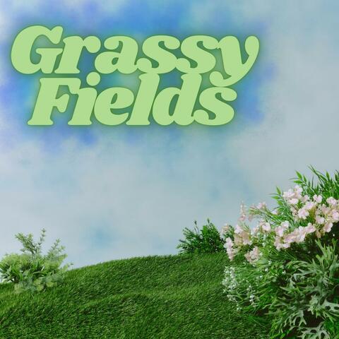 Grassy Fields
